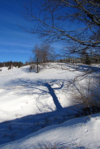 winter snow field landscape hiking land ontheway táj tájkép hó mező tél túra útban kakastaréj canonpowershotsx20is gutinhegység munţiigutâi ökörmező munţiigutin câmpulboului oxfield