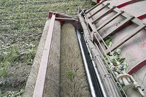 採收毛豆的秘密武器，刷子滾輪。攝影：朱雲瑋
