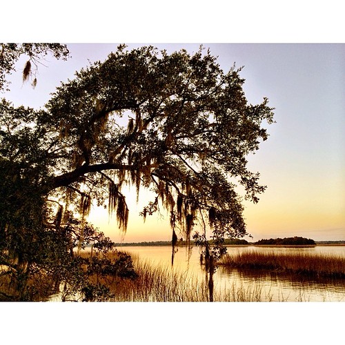 sunset nature water square outdoors photography southcarolina charleston squareformat liveoak johnsisland iphoneography instagramapp uploaded:by=instagram foursquare:venue=4ceadd28f86537048e52bfc4