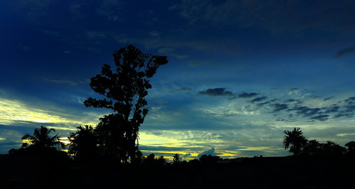 blue sunset nature silhouette colours vivid colombo