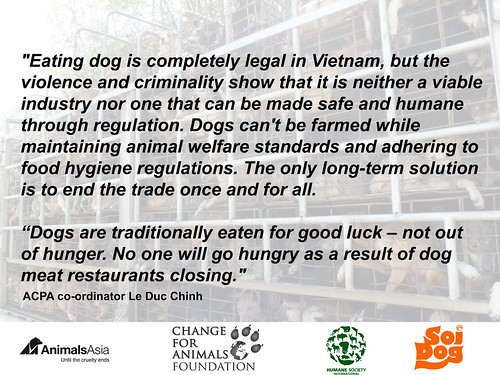 Le Duc Chinh from ACPA on the dog meat industry in Vietnam