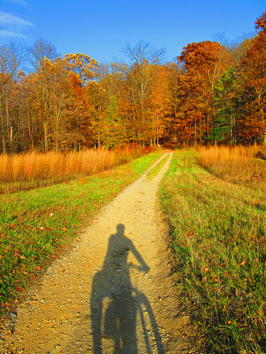 park autumn shadow fall field leaves woods path michigan fallcolors lane stonycreekmetropark fairweather oaklandtownship twotrack