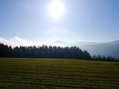 sun mist fog forest austria österreich nebel meadow wiese hills sonne wald niederösterreich autriche thann hügel warth loweraustria buckligewelt