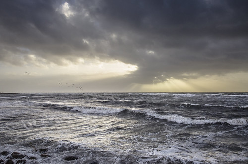 winter sea sky sun sunlight seascape storm water birds clouds skåne waves sweden seagull horizon windy stormy swedish rays egon lerhamn