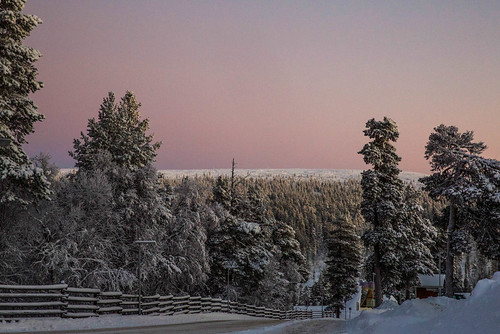 winter sunset finland lapland lappi polarnight kaamos