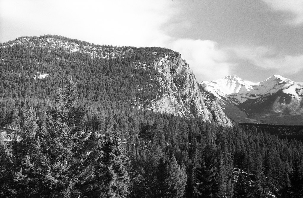 The View from the Banff Springs Hotel