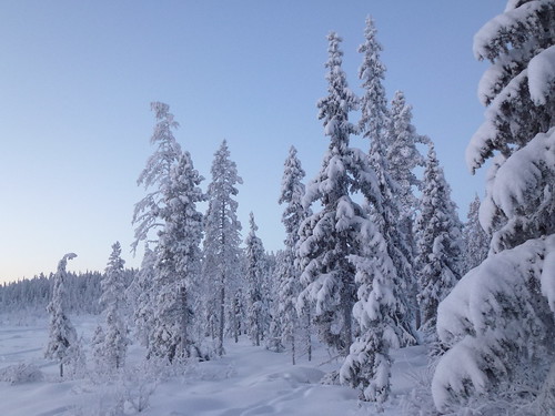 snow sweden kiruna snowlandscape poikkijärvi