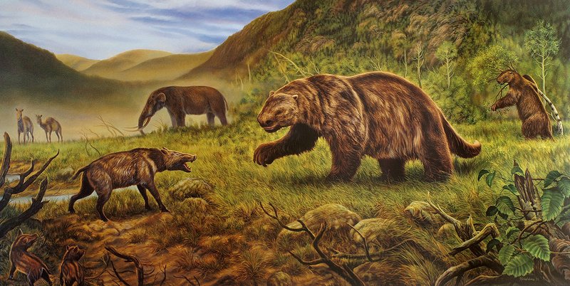 Megafaunal mammals including the American mastodon (rear center), Jefferson’s ground sloth (front center and right), the flat-headed peccary (front left), and the western camel (rear left) extended their habitat into northern latitudes during the last interglacial period, around 125,000 years ago. Image courtesy of George Teichmann.