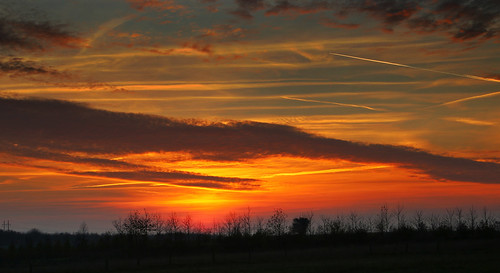 trees sky field clouds sunrise mark træer himmel contrails sonnenaufgang skyer aarhus århus brabrand solopgang skyporn