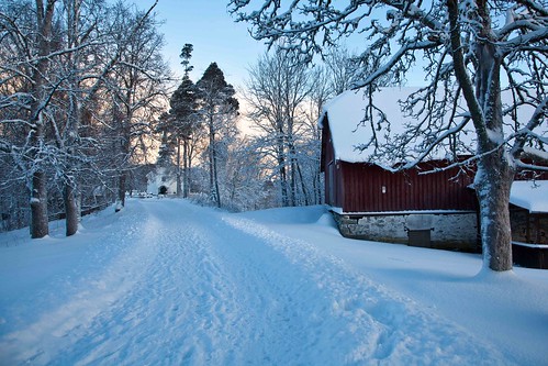 christmas winter white snow norway landscape norge vinter december norwegian jul wonderland desember snø egge landskap norsk nordtrøndelag hvit steinkjer kvit lantschaft estenvik erikstenvik vintervandring