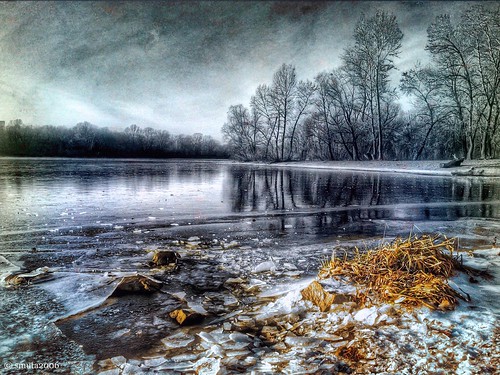 wood winter sky snow cold reflection tree ice beach apple reed nature water weather cane clouds creek river landscape island log bush woods scenery europe frost wind grove lawn bank ground ukraine calm beam rush twig riverfront shrub coldweather kiev kyiv footprint tranquil hdr snag footstep happynewyear backwater waterscape iphone copse dnieper dnipro iphoneography instagramhub igukraine kievday uaiphoneography hubhdp igerskiev