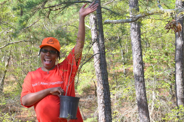 Tree planting opportunities abound for Earth Week - Virginia State Parks