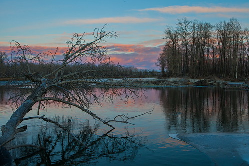 park winter sunset cloud color reflection tree water canon landscape bowriver 2470f28l