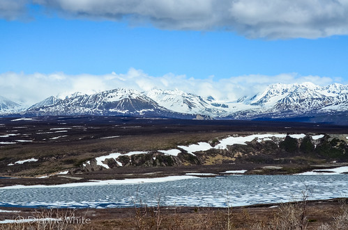 lake snow ice alaska landscape frozen denalihighway nikond7000 114picturesin2014 ©diannewhite