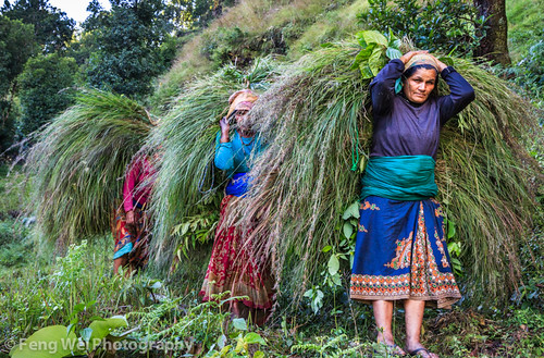 travel nepal color green horizontal rural trek landscape three women asia outdoor haystack lush hillside annapurnacircuit annapurna besisahar gandaki lamjung annapurnaconservationarea