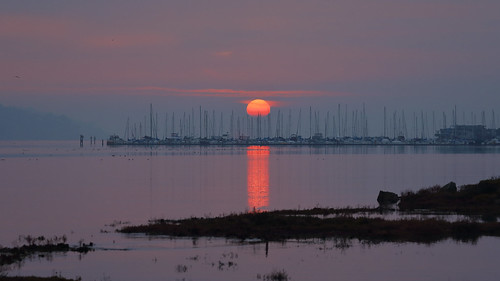 california morning orange sun reflection sunrise marincounty sanfranciscobay sailboats sausalito richardsonbay
