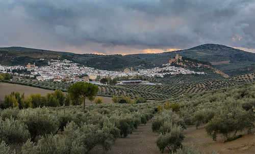 sunset spain andalucia plantation olives groves montefrío