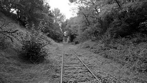 bologne cyclorail vélorail hautemarne france august 2016 lumia 950 railway tracks line railroad overgrown black white bw