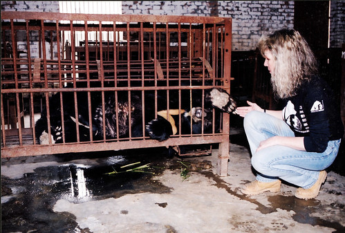 Early shot of Jill Robinson on a bear bile farm