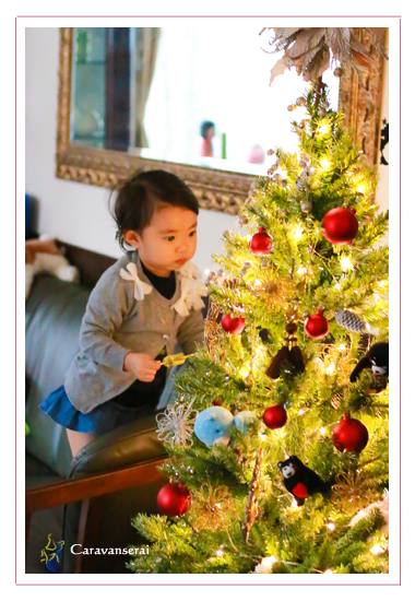 クリスマスの記念写真　子供写真　キッズフォト　出張撮影　愛知県瀬戸市　自然　ナチュラル