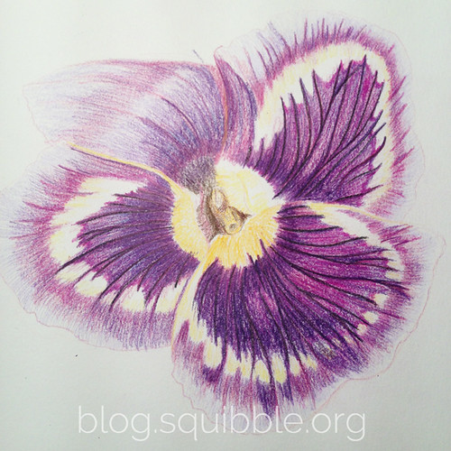 squibble_design_pansy_painting_week3_1