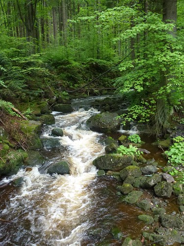 nature river europa europe poland polska natura sudety rzeka lowersilesian publiczne dolnośląskie masywczeski sudetyśrodkowe górybystrzyckie