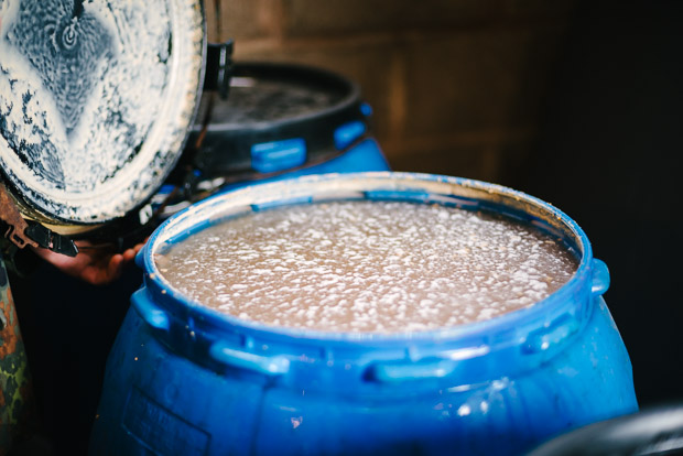 Yeast cider making process Bulmers by Sarka Babicka Photography