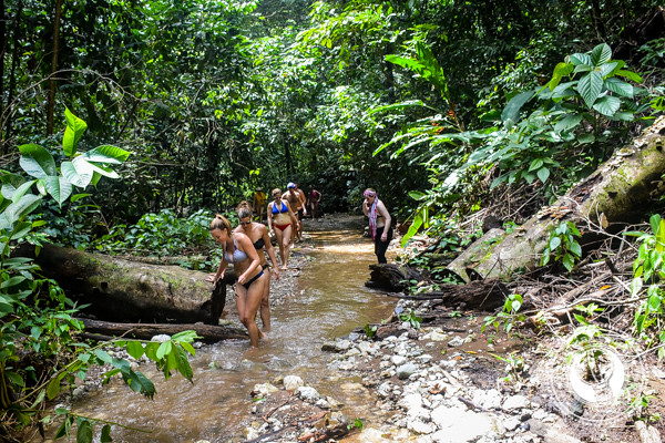 Jungle Trekking in Costa Rica