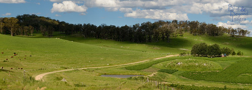 panorama landscape nikon country australia nsw newsouthwales dirtroad 2014 grazingland landscapephotography dirtybackroads kookabookra d800e nikond800e wardsmistake jasonbruth