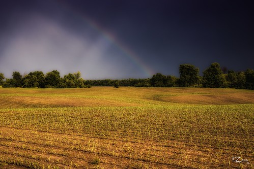 sonyslta77v zara rzara russzara russ field farmers rainbow landscape nature outdoor outside londonontario canada byron storm trees