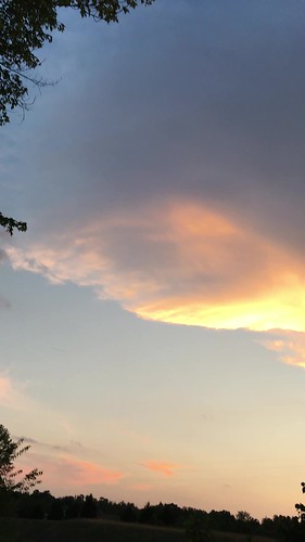 blue trees sunset sky orange cloud yellow clouds view videos iphone 6s
