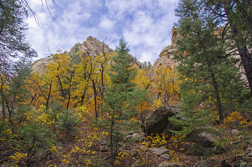 nikon7000 hiking colorado canoncity landscape autumn