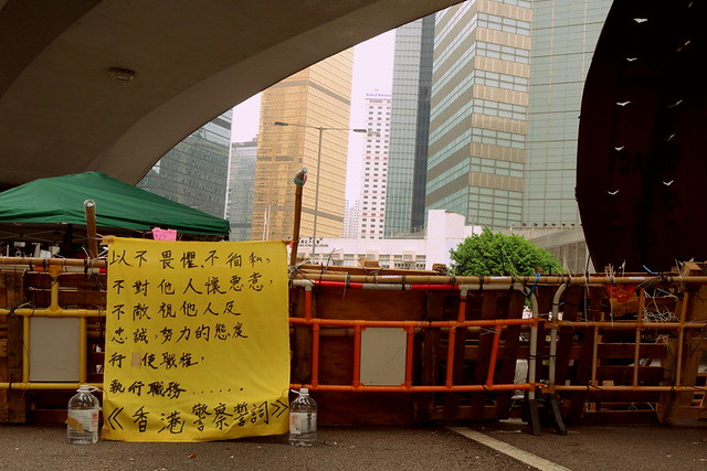 201410 HK Umbrella Movement (19)