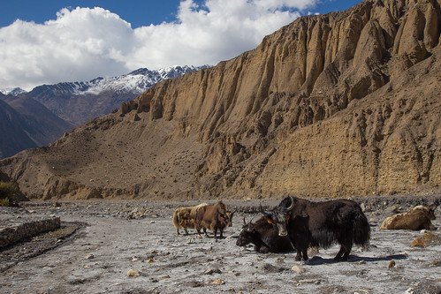 nepal mustang lupra westernregion pandakholagorge