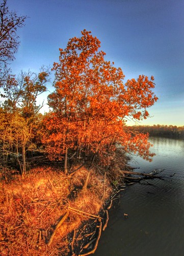 2014 fisheye jamiesmed iphoneedit app snapseed canon 500d teamcanon dslr eos rokinon t1i blue handyphoto sky hdr skies orange reflections reflection lens wintonwoods trees tree prime geotagged geotag fixed reflect creepycampout campout water manual focus facebook reflects light wide angle landscape cincinnati ohio midwest october autumn fall rebel photography