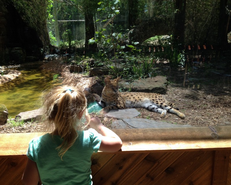 Tyler Zoo with Kiki and Marcus42