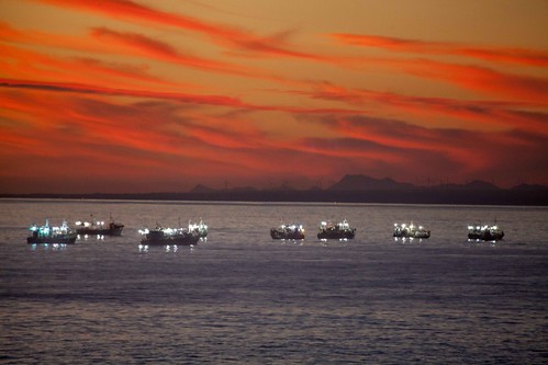 africa sunset beautiful canon southafrica boats lights fishing squid brightlights redsky fishingboats za easterncape chokka nelsonmandellabay