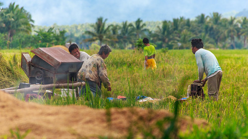 travel sea summer vacation panorama canon wow landscape island eos bay countryside adobephotoshop farmers farm philippines harvest sigma sunny panoramic telephoto adobe tropical ricefield bicol tropics lightroom sorsogon irosin wowphilippines 550d adobephotoshoplightroom 18250mm petertoshiro bicolregion sorsogonprovince rebelt2i kissx4 wowbicol morefuninthephilippines morefuninbicol