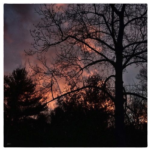 trees winter color silhouette sunrise landscape asheville squareformat tulippoplar avl ashevillenorthcarolina iphone5s