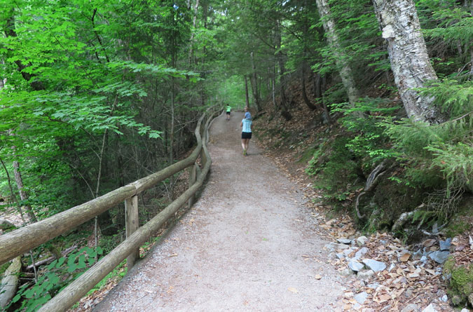 Sabbaday Brook Trail