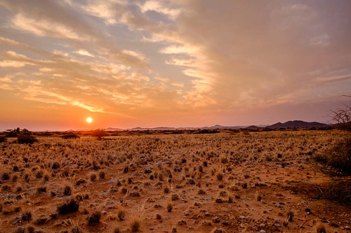 2016 africa august cheetah intrepid namibcarnivoreconservationcentre namibia solitaire tour travel trip khomasregion na
