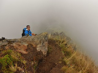 Rafael's Descent from Fuya Fuya
