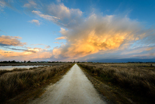 clouds dusk hawkesbay light mammatus napier newzealand path sky sunset tussock westshore caldwell ankh