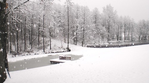 winter holidays breaks lithuania dzukijanationalpark accommodationindruskininkai familyholidaysinlithuania familyvacationslithuania villadzukijosuoga