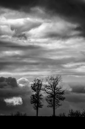 france noiretblanc nb ciel nuages arbre lightroom hautegaronne midipyrénées