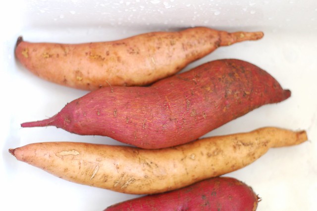 Sweet potatoes from our garden by Eve Fox, The Garden of Eating, copyright 2015