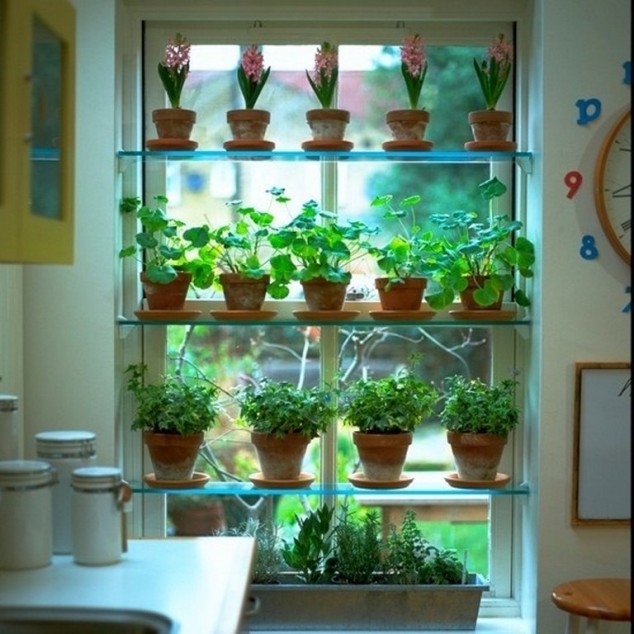 Make A Perfect Home Decor With These 15 Extraordinary Indoor Gardens