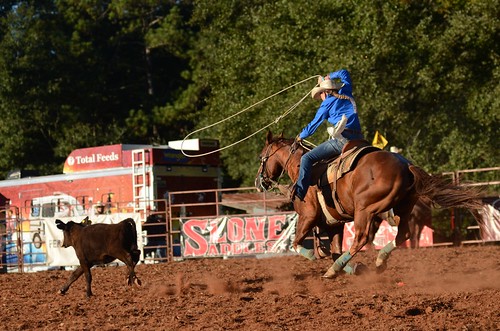 rodeo tiedowncalfroping cowgirl horse calf therockranch therockgeorgia