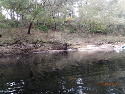 river suwannee