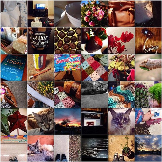 2014: A year in photos | pg 2